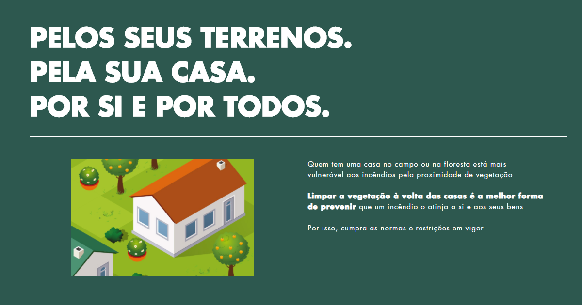 LIMPEZA TERRENOS 2