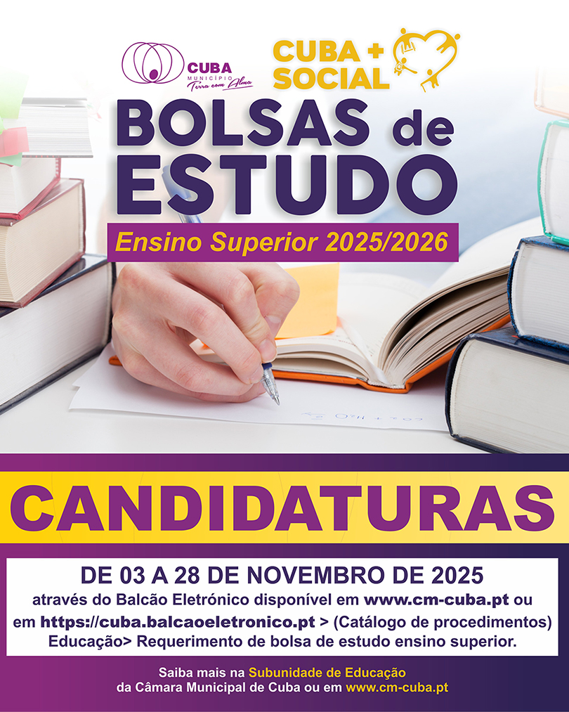 APOIOS SOCIAIS BOLSAS SITE